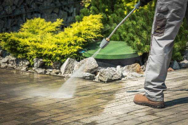 Best Fence Cleaning  in Dexter, OR