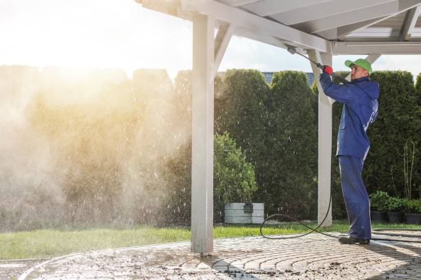 Best Building Exterior Washing  in Dexter, OR