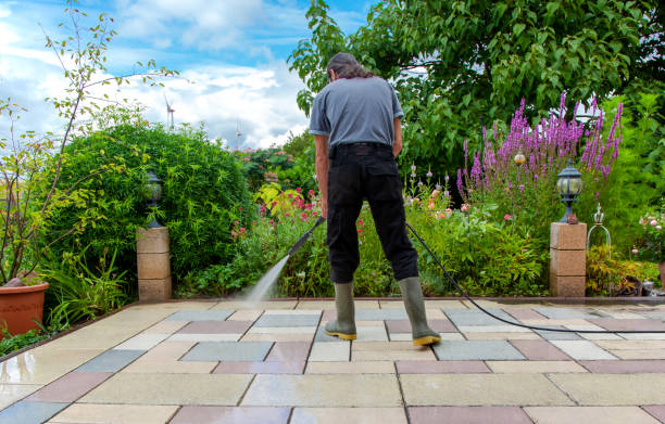 Best Parking Lot and Garage Cleaning  in Dexter, OR