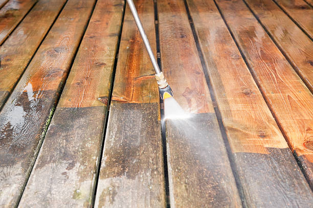Best Driveway Pressure Washing  in Dexter, OR