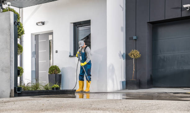 Best Paint Preparation  in Dexter, OR